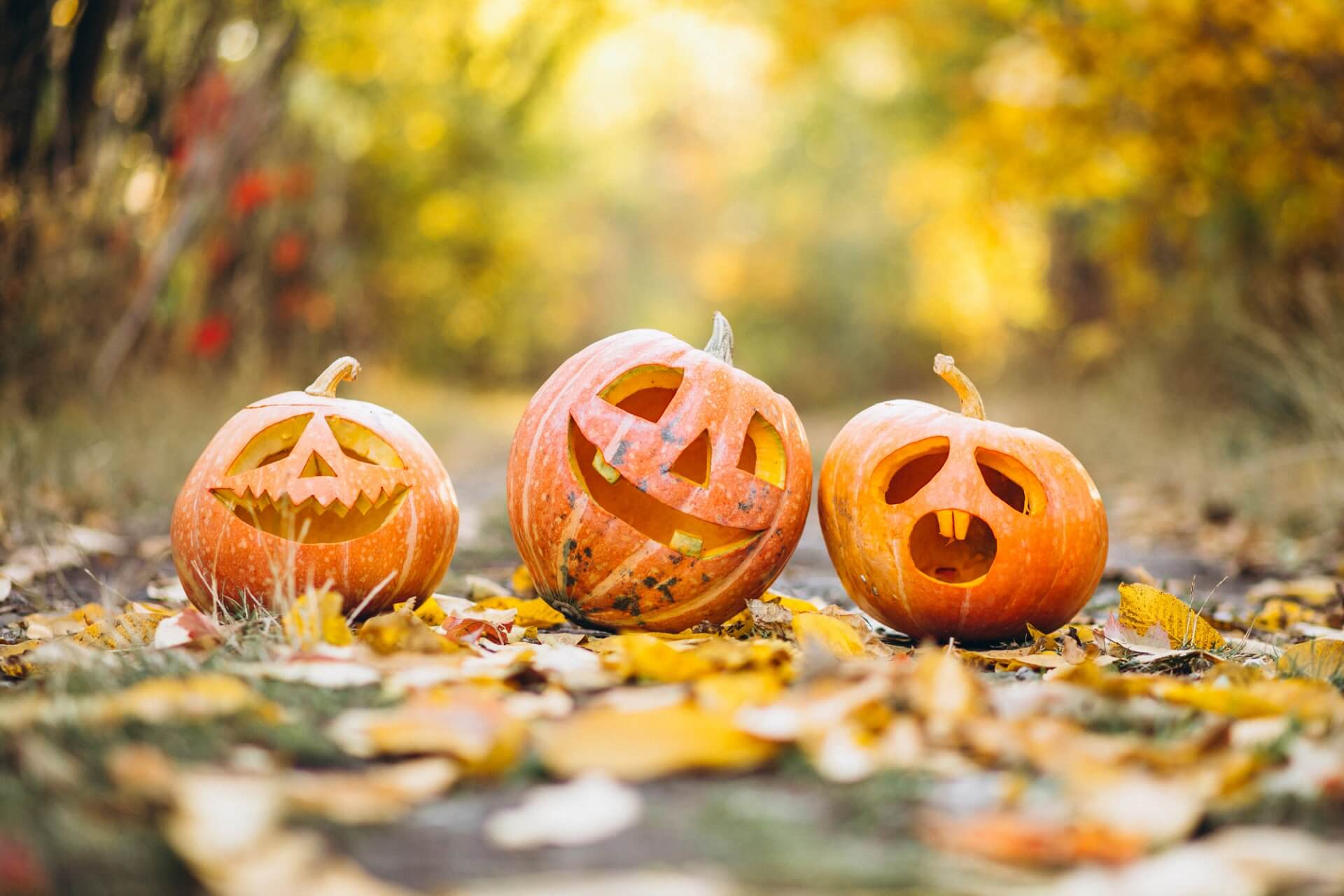Halloween w UK 🎃 Data, historia i obchody w Wielkiej Brytanii
