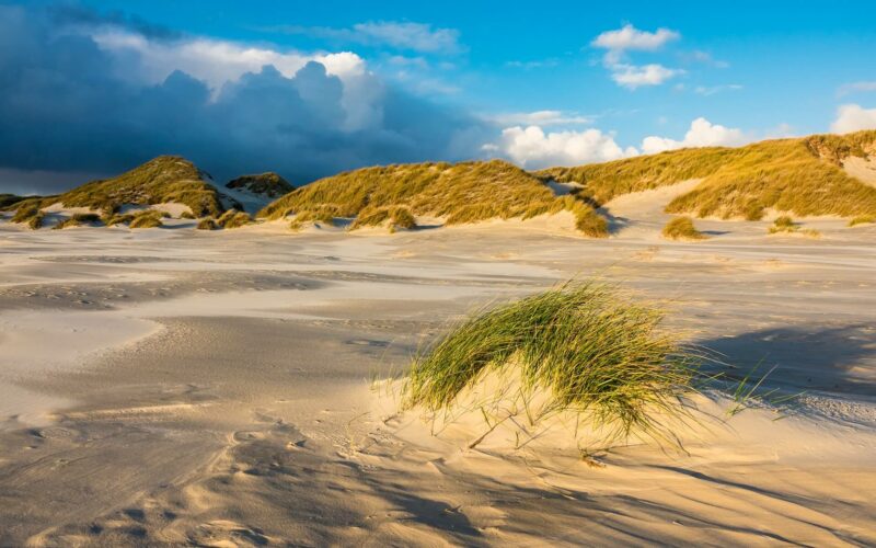 Piaszczysta plaża w UK