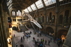 Muzeum Historii Naturalnej w Londynie