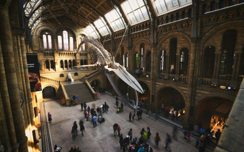 Muzeum Historii Naturalnej w Londynie