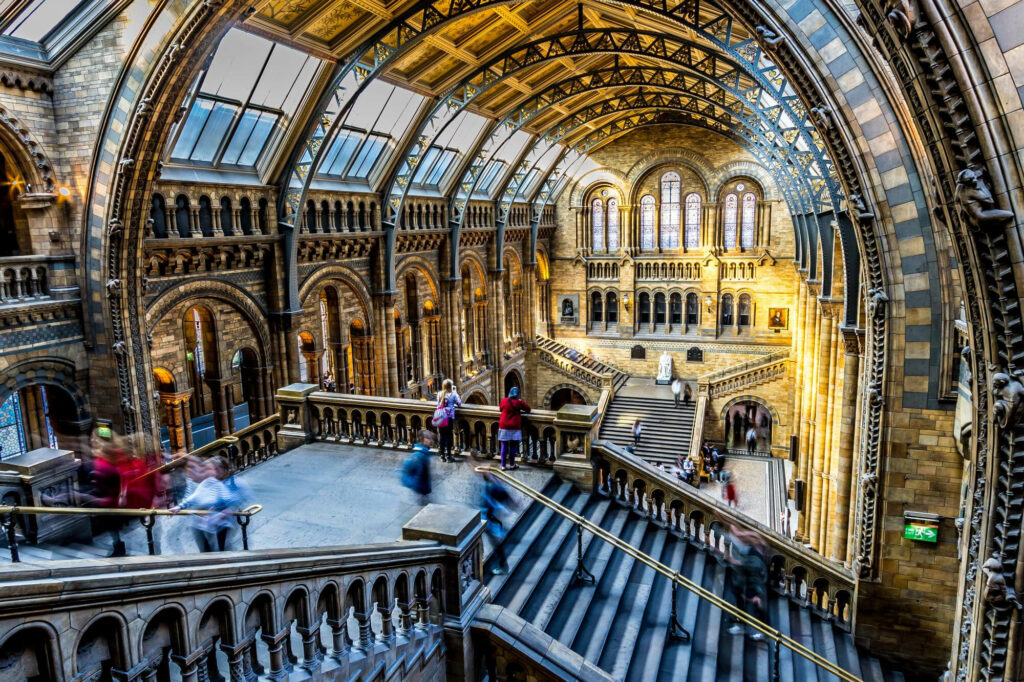 Natural History Museum w Londynie