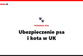 Ubezpieczenie psa lub kota w UK 2026