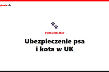 Ubezpieczenie psa lub kota w UK – ile kosztuje? [2026]