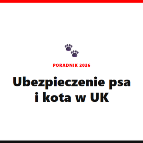 Jakie ubezpieczenie dla psa lub kota wybrać w UK? Rodzaje polis [2026]