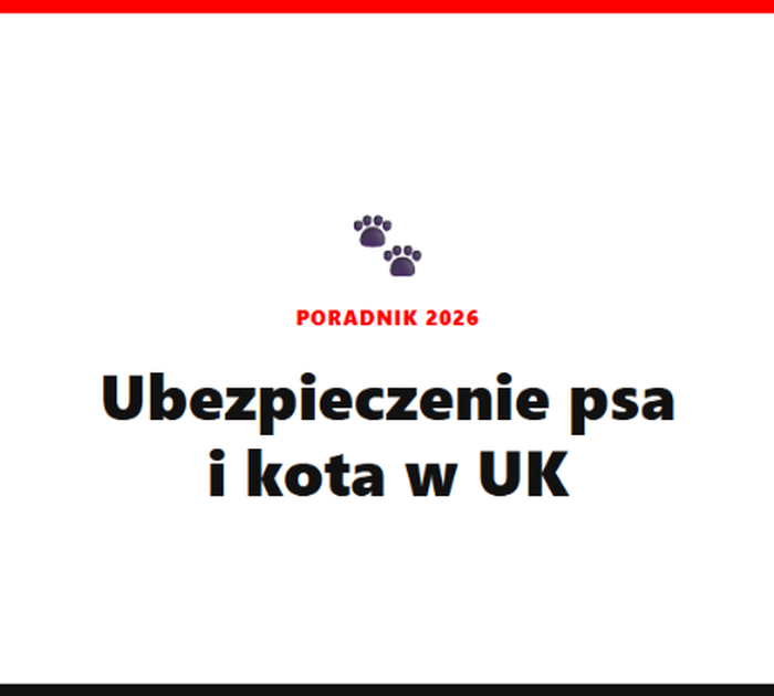 Ubezpieczenie psa lub kota w UK – ile kosztuje? [2026]