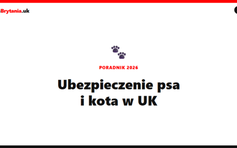 Ubezpieczenie psa lub kota w UK 2026